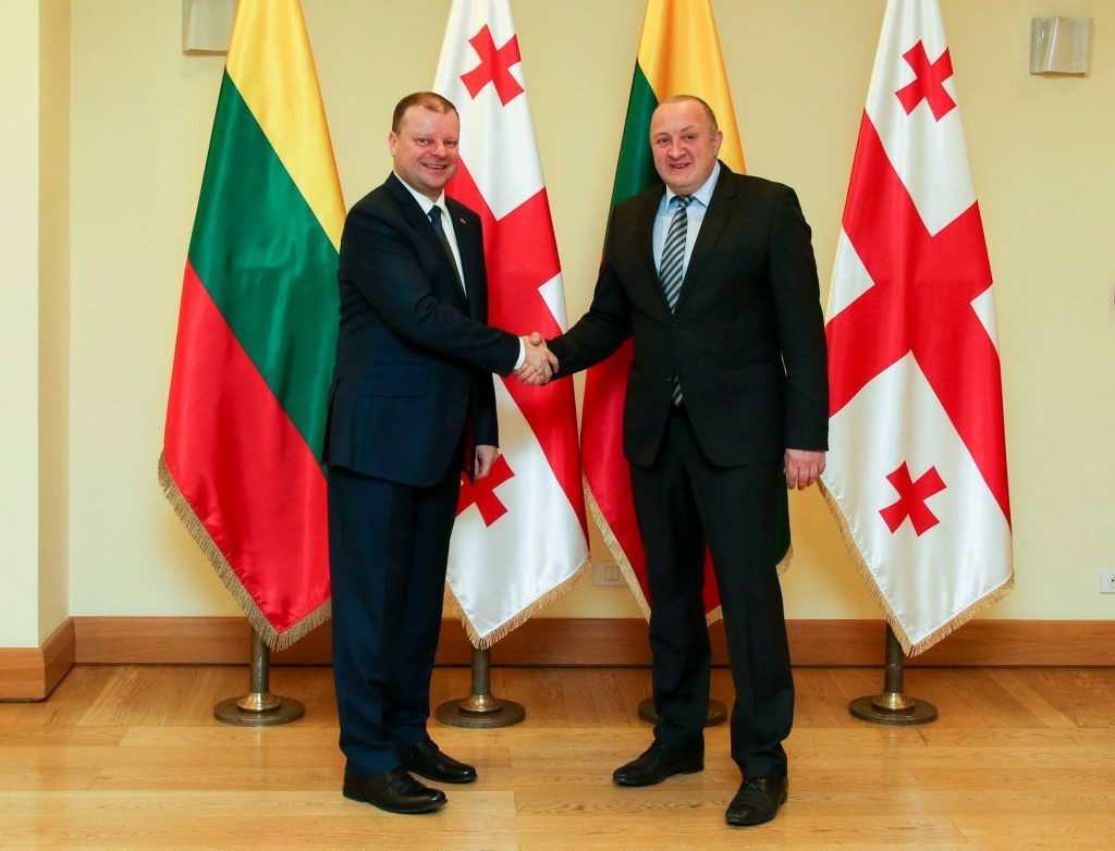 Георгий Маргвелашвили рассмотрел с премьером Литвы вопросы сотрудничества в форматах Евросоюза и НАТО