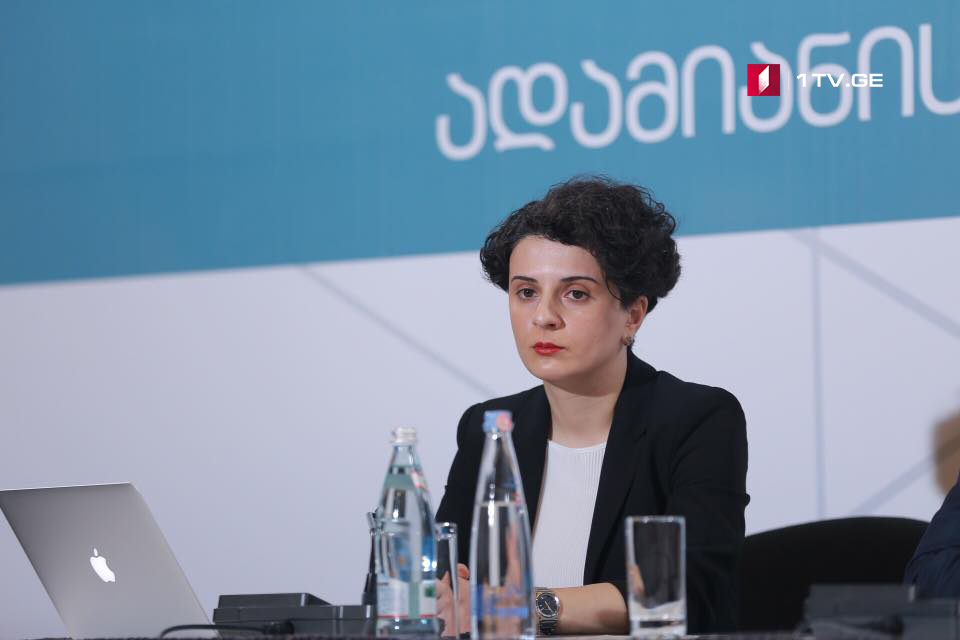 Натия Мезвришвили – Законопроект в связи с «воровским сообществом» объявляет непримиримую борьбу криминальному менталитету