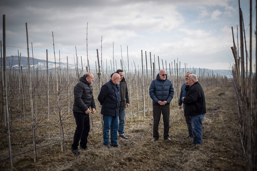 Orchard arranged at occupational line within United Agriculture Project