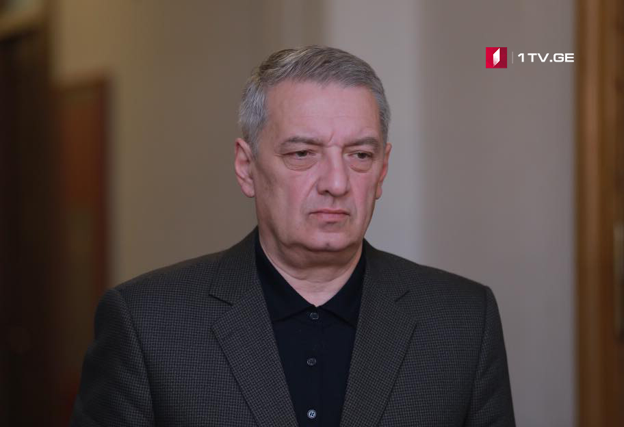Гия Вольский- Тема экстрадиции Саакашвили не снята с повестки дня