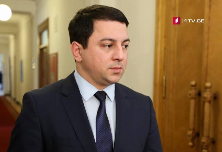 Парламент Грузии проголосует за проект резолюции на пленарном заседании 21 марта