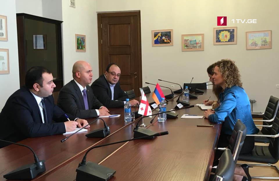 В рамках Парламентской ассамблеи Евронест Тамар Хулордава встретился с делегацией Армении