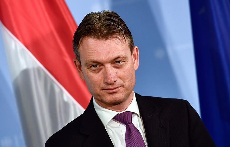 Министр иностранных дел Нидерландов ушел в отставку