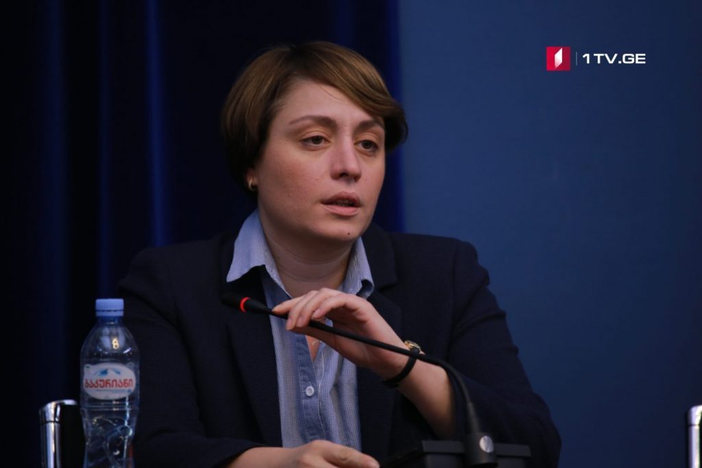 Elene Khoshtaria: We try the best for reaching an agreement on resolution text over Archil Tatunashvili's case