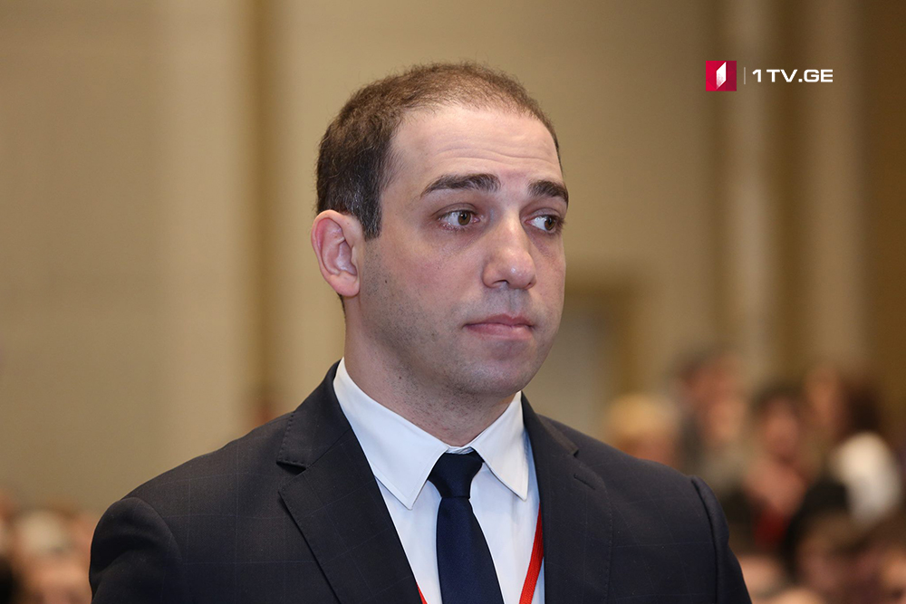 Ираклий Шотадзе - Решение о подключении иностранных специалистов в экспертизе Арчила Татунашвили пока не принято
