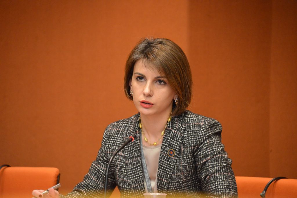 Tamar Chugoshvili - Both resolutions submitted to Parliament have common aspiration