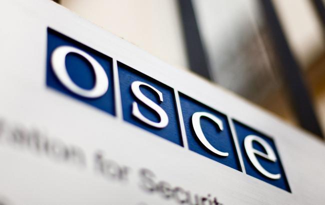 На заседании постоянного совета ОБСЕ обсудили смерть Арчила Татунашвили и задержание двух граждан Грузии