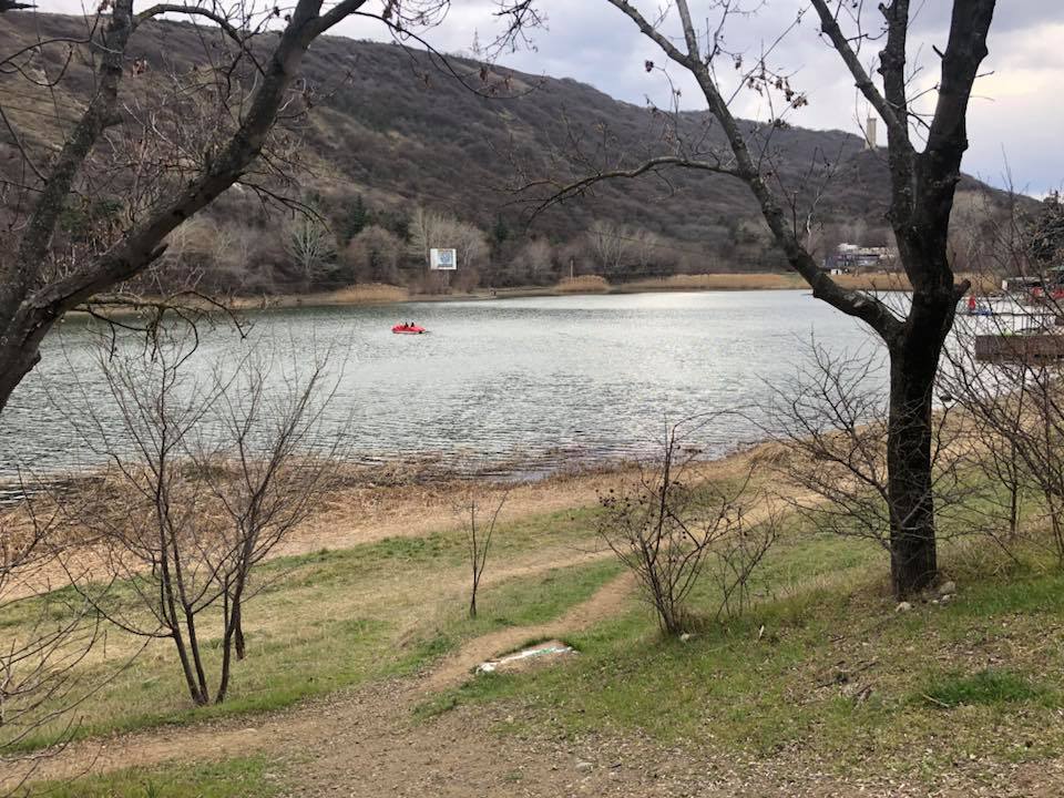Тендер на поиск альтернативных источников пополнения водой Черепашьего озера в Тбилиси не состоялся
