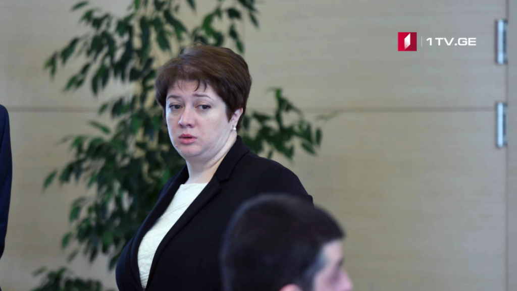 Maia Tskitishvili – Nothing threatens unity of parliamentary majority