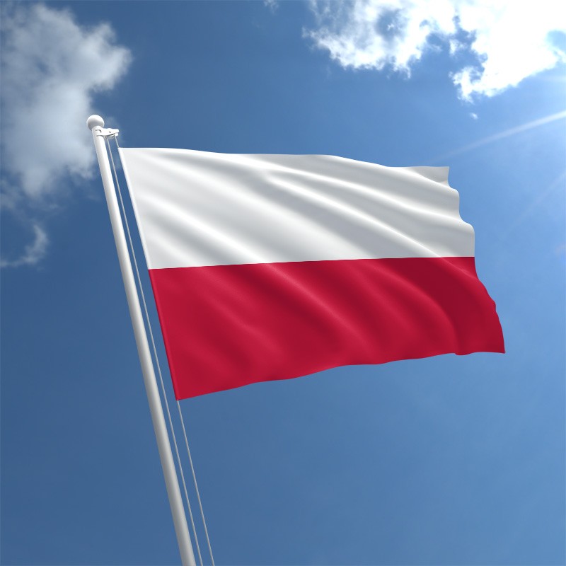 МИД Польши поддерживает мирную инициативу правительства Грузии