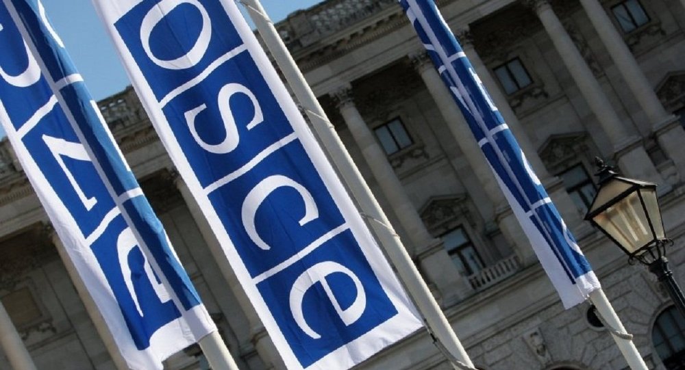 На постоянном совете ОБСЕ делегации разных стран выступили с заявлениями в поддержку Грузии