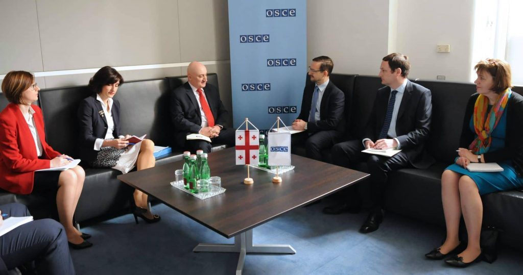 Генеральный секретарь ОБСЕ подтвердил поддержку миротворческой политики правительства Грузии