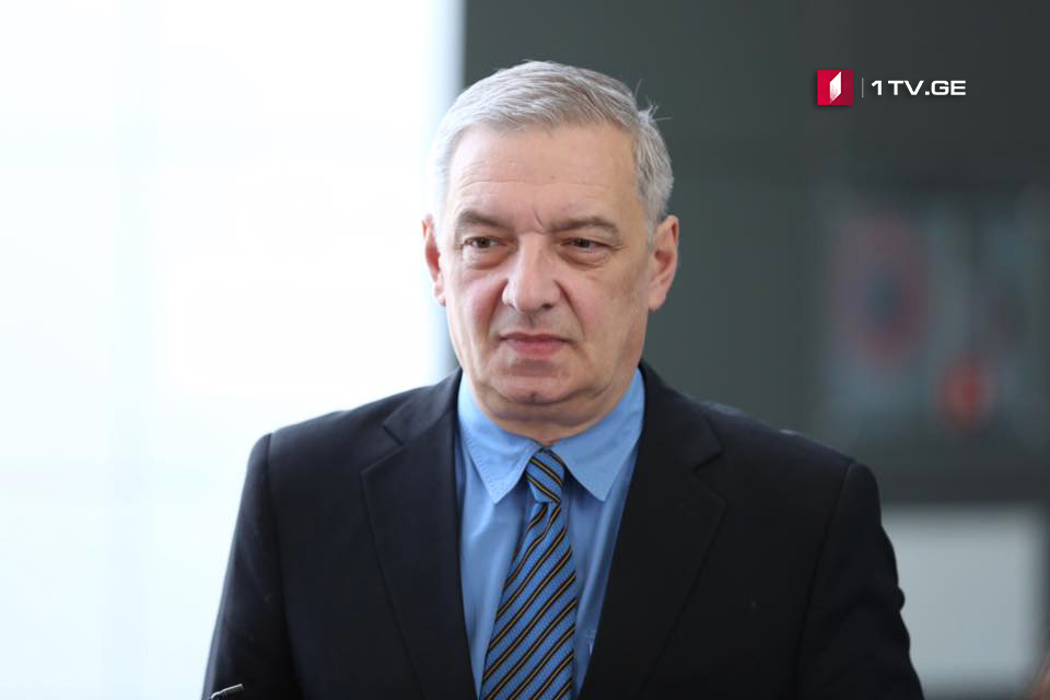 Гия Вольский заявляет, что вызова Георгия Гахария в парламент вместе с оппозицией требуют и представители большинства