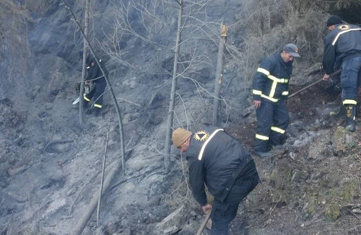 Բորջոմիի Սակիրե գյուղում հրդեհը մեկուսացված է