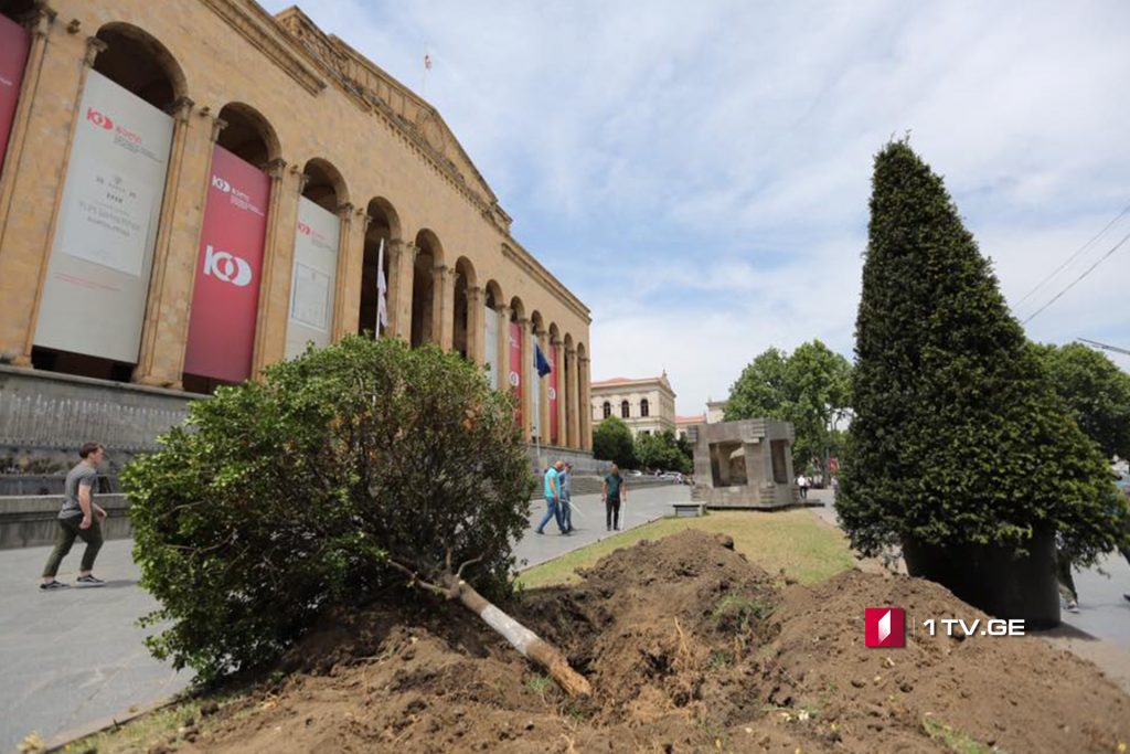 Greening works ongoing at Rustaveli Avenue