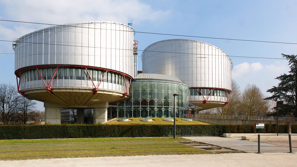23 мая в Большой палате Страсбургского суда состоятся слушания по иску Грузии против России