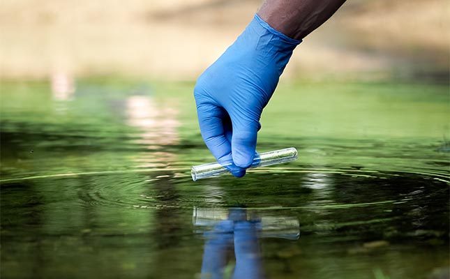 Water samples from Turtle, Lisi Lakes and Tbilisi Sea to be tested