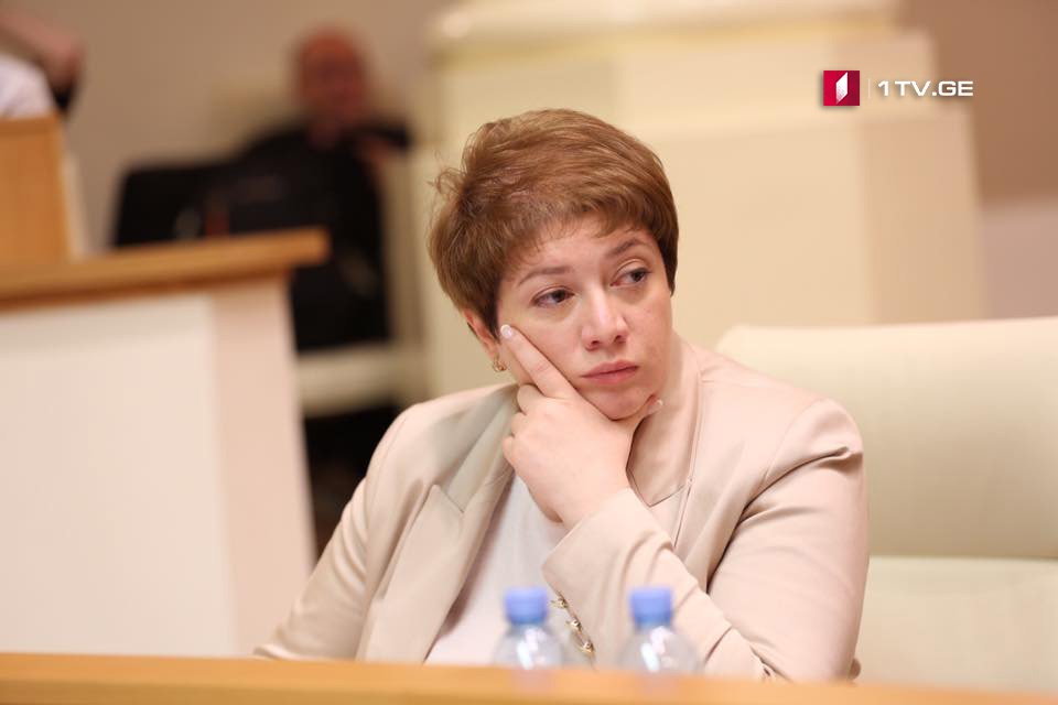 Майя Цкитишвили - У Давида Чичинадзе есть своя позиция по вопросу досрочных парламентских выборов, с которым я не согласна
