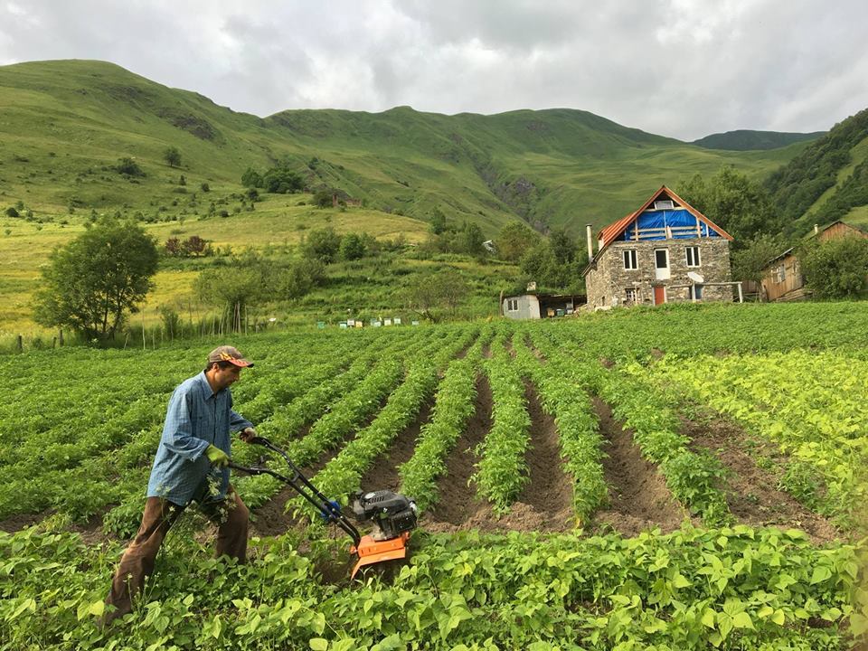 В Грузии начинается проект регистрации фермеров