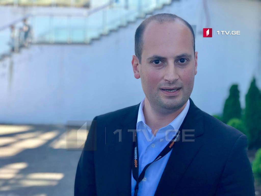 Mikheil Janelidze to continue activities in NGO sector