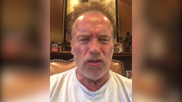 Trump Was Like A "Little Wet Noodle" Next To Putin: Arnold Schwarzenegger