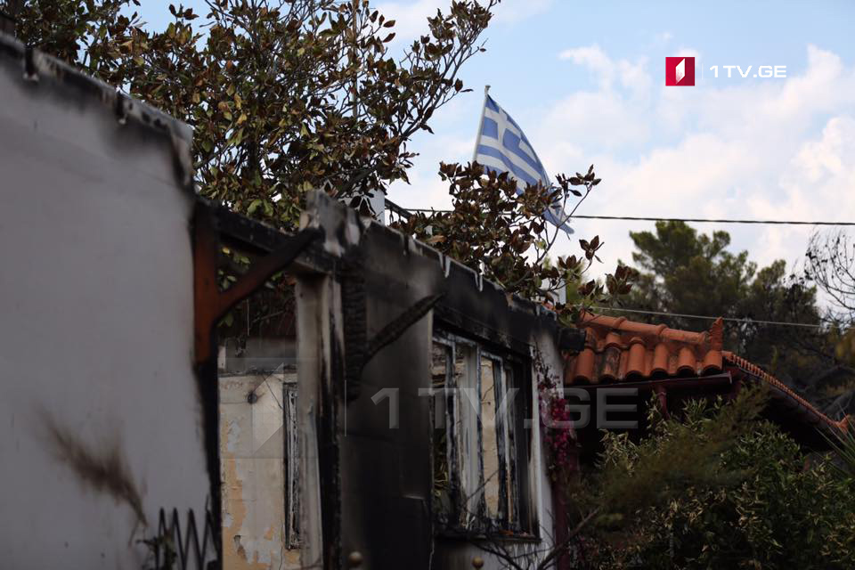 Yunanistanda baş verən yanğın - Foto-hadisə