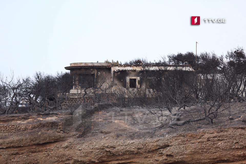 В Греции в одном из сгоревших домов обнаружили еще три тела (фото)