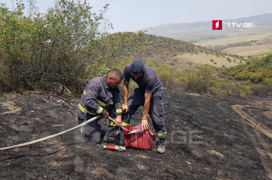 Спасатели пытаются ликвидировать очаги пожара у грузино-армянской границы водой в рюкзаках [фото]