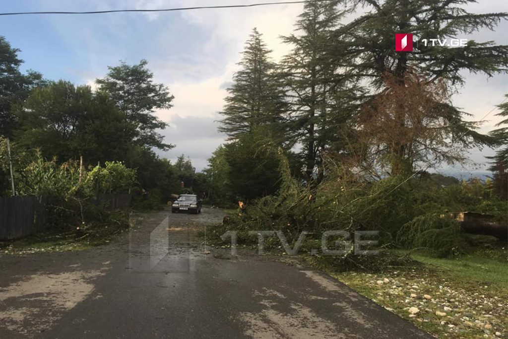 Стихия в Цаленджиха - Сильный ветер сорвал крыши с нескольких домов и вырвал с корнем многолетние деревья