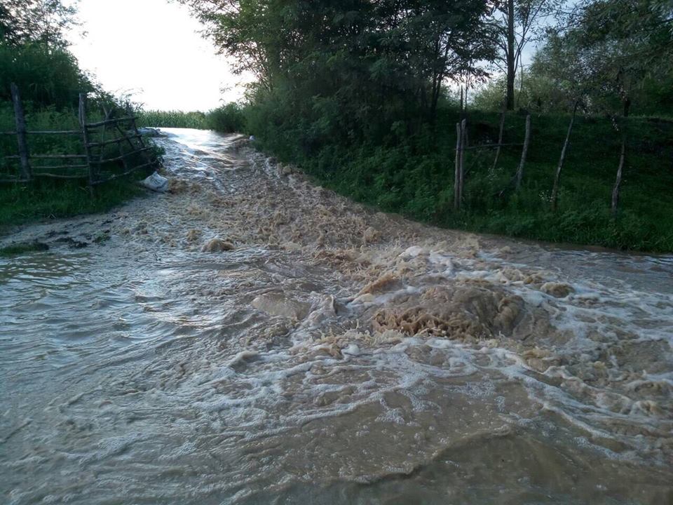 Служба по управлению чрезвычайными ситуациями – Уровень воды в двух селах Абаша снизился и гражданам не угрожает опасность