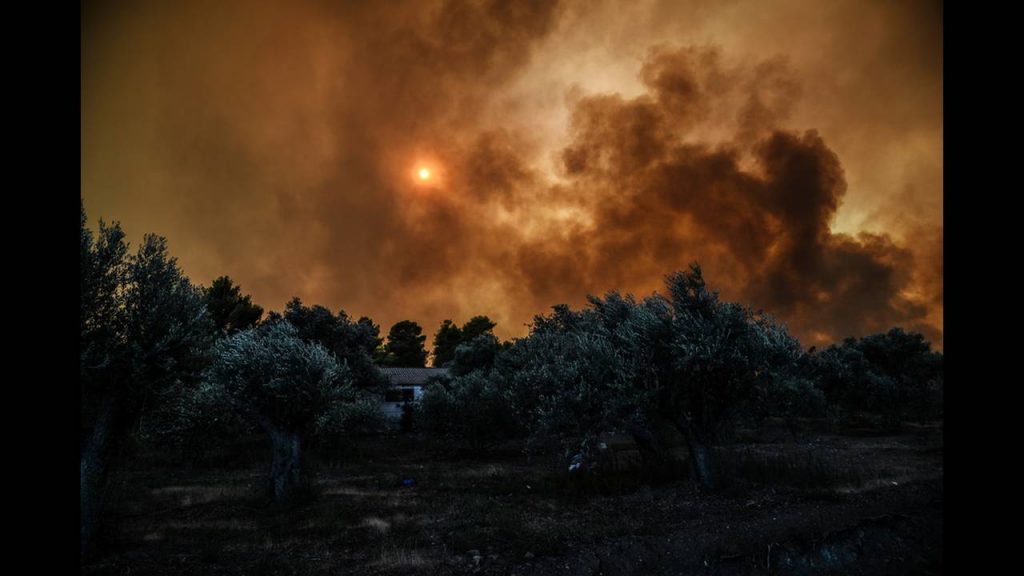 Из-за лесных пожаров в Греции на острове Эвия осуществлена эвакуация населения