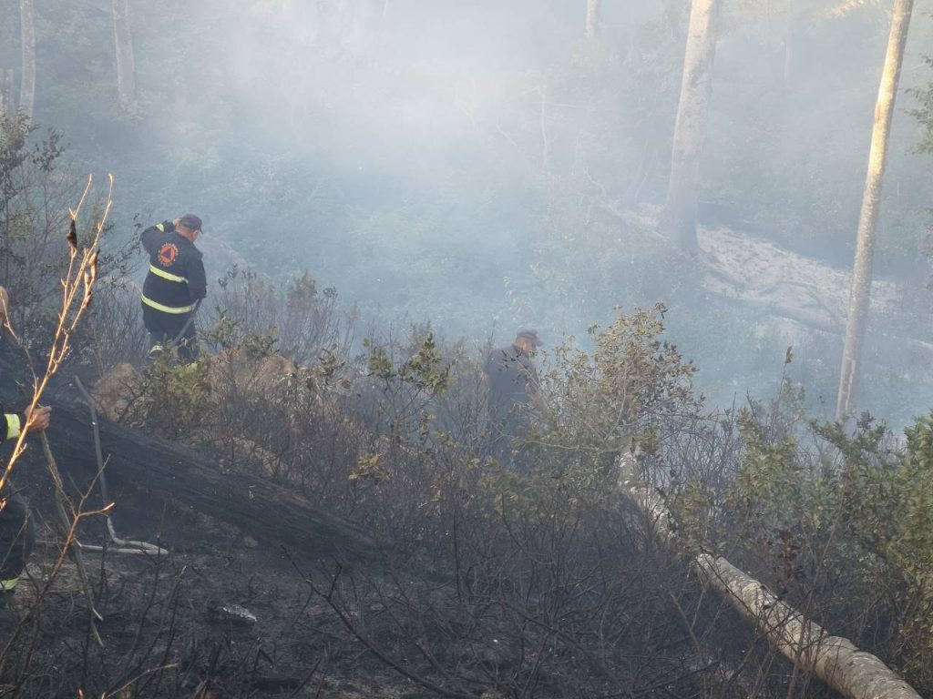К работам по тушению пожара в селе Цедани в Хашури подключится дополнительная техника