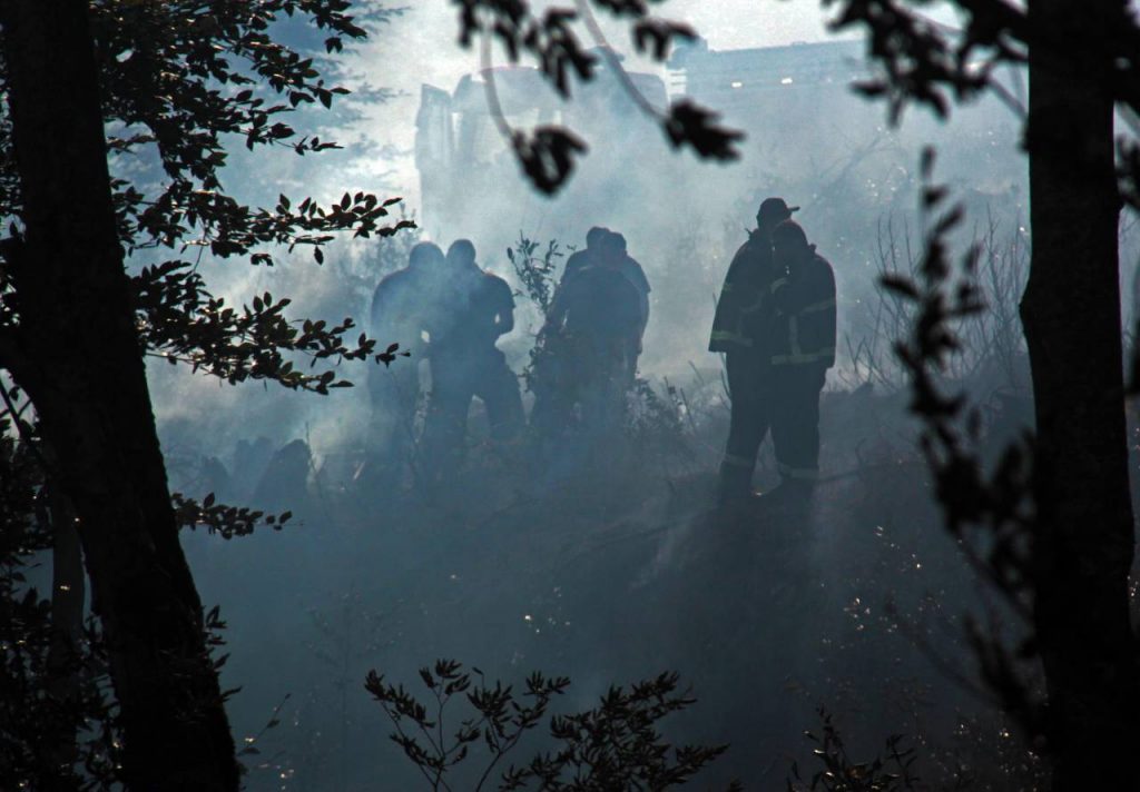 Пожар у села Цедани в Хашури ликвидирован