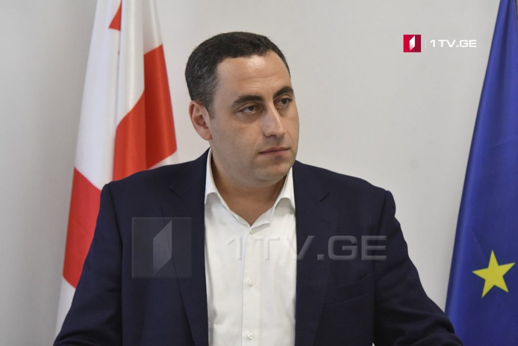 Георгий Вашадзе – На данном этапе мы не разделяем мнение Михаила Саакашвили, с единоличными решениями покончено