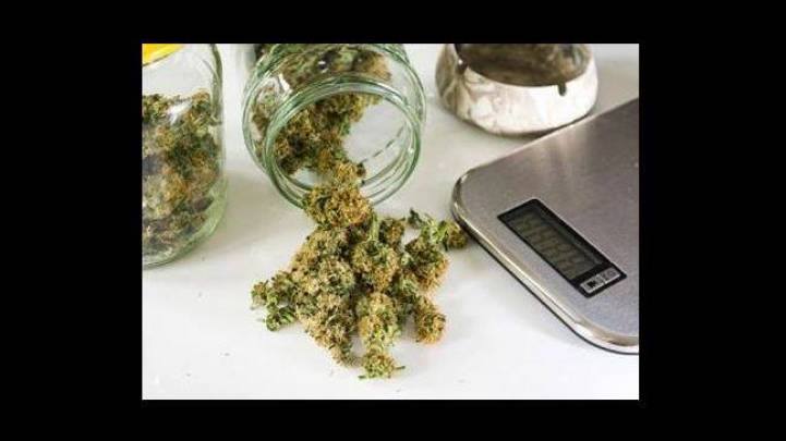 На таможенно-пропускных пунктах обнаружено 7.13 грамм марихуаны