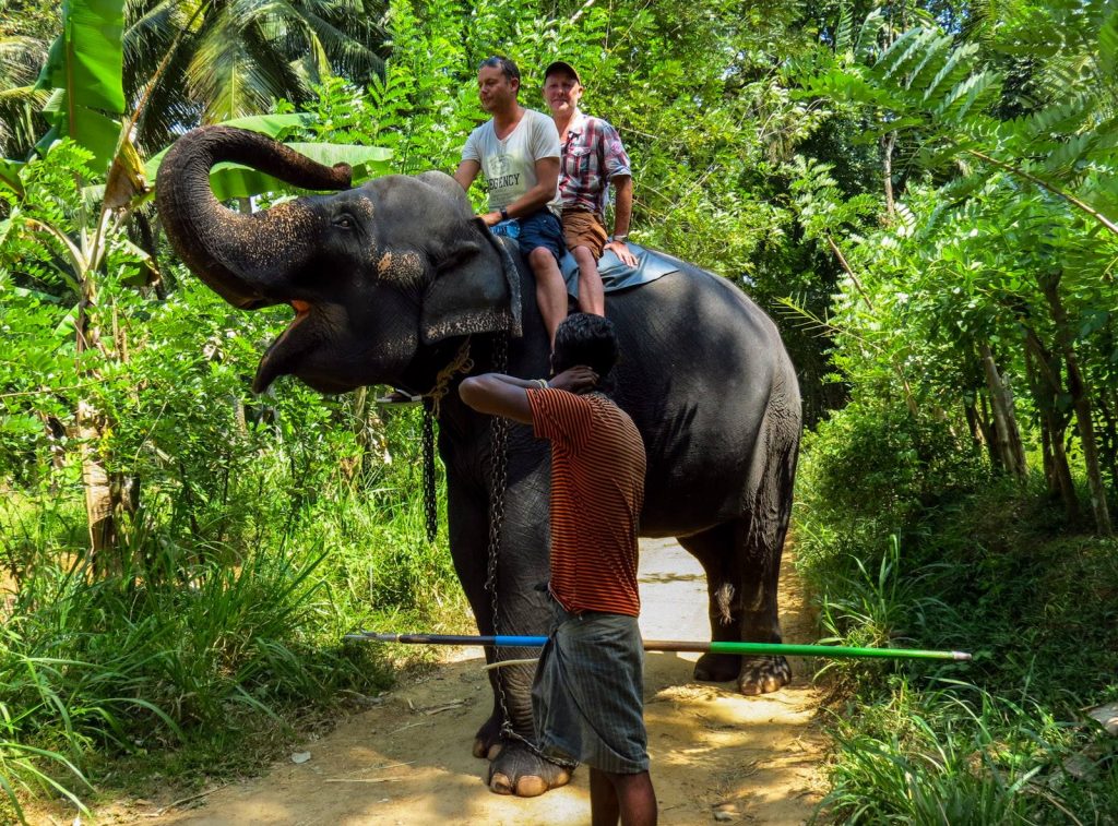 В этом году Шри-Ланку посетили 454 туриста из Грузии