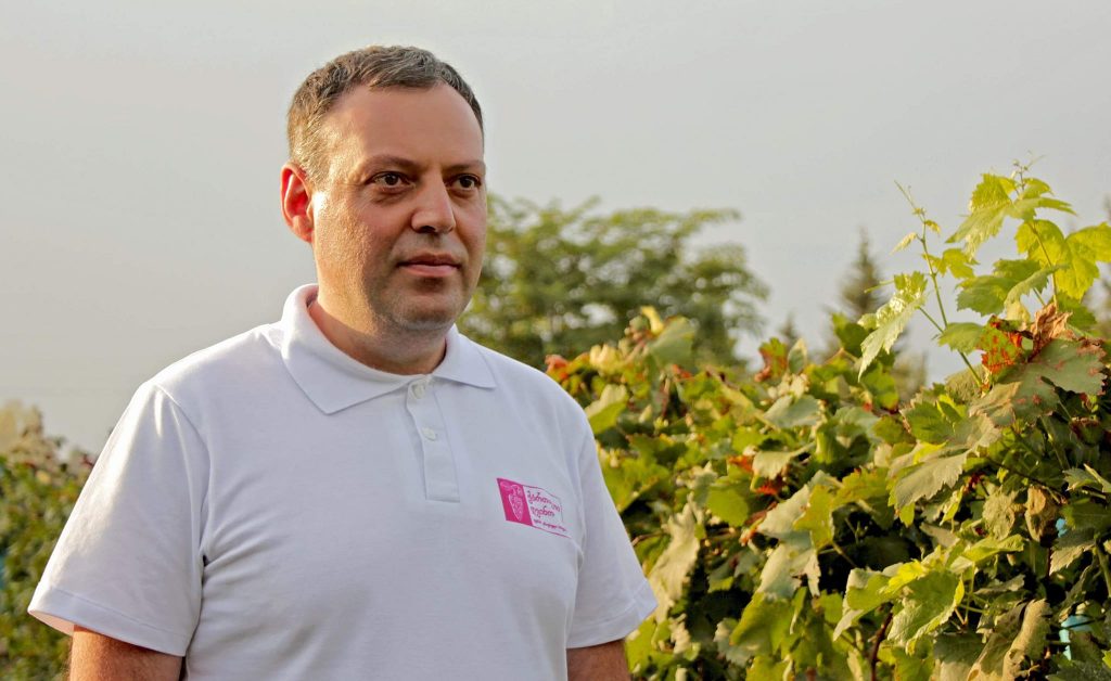 Агентство вина – Доход виноградарей в Кахети превысил 204 млн лари