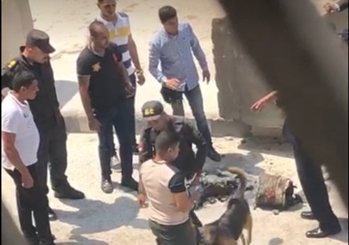В Каире возле американского посольства задержали мужчину, который планировал задействовать взрывное устройство