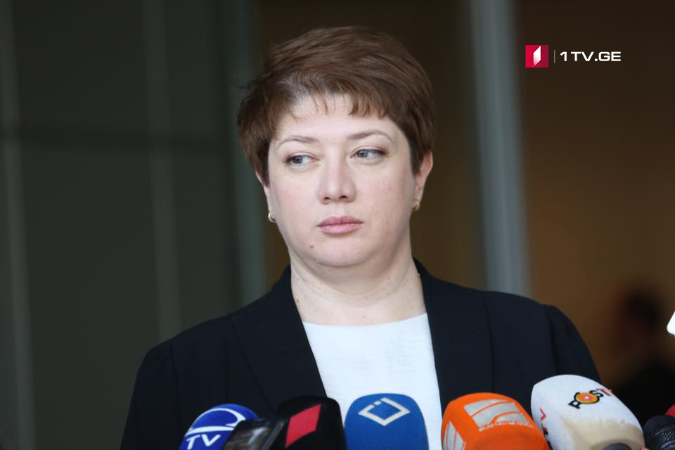 Майя Цкитишвили - Подделка подписи премьера является уголовным преступлением, на что последует правовая оценка