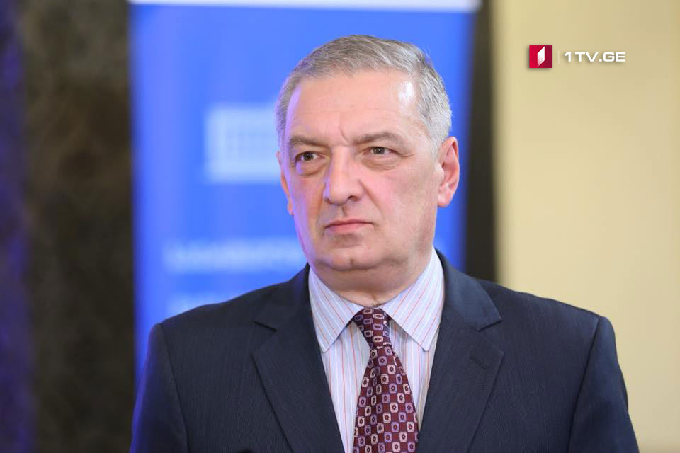 Гия Вольский - Саломе Зурабишвили знает, как объединить людей, которые противостоят друг другу по политическому признаку