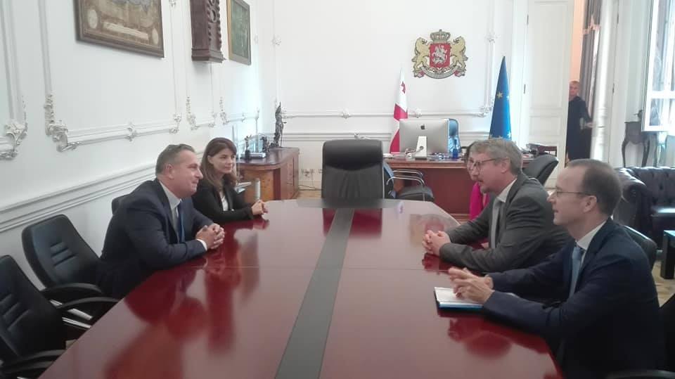Новый посол ЕС в Грузии Карль Харцель встретился с председателем Конституционного суда