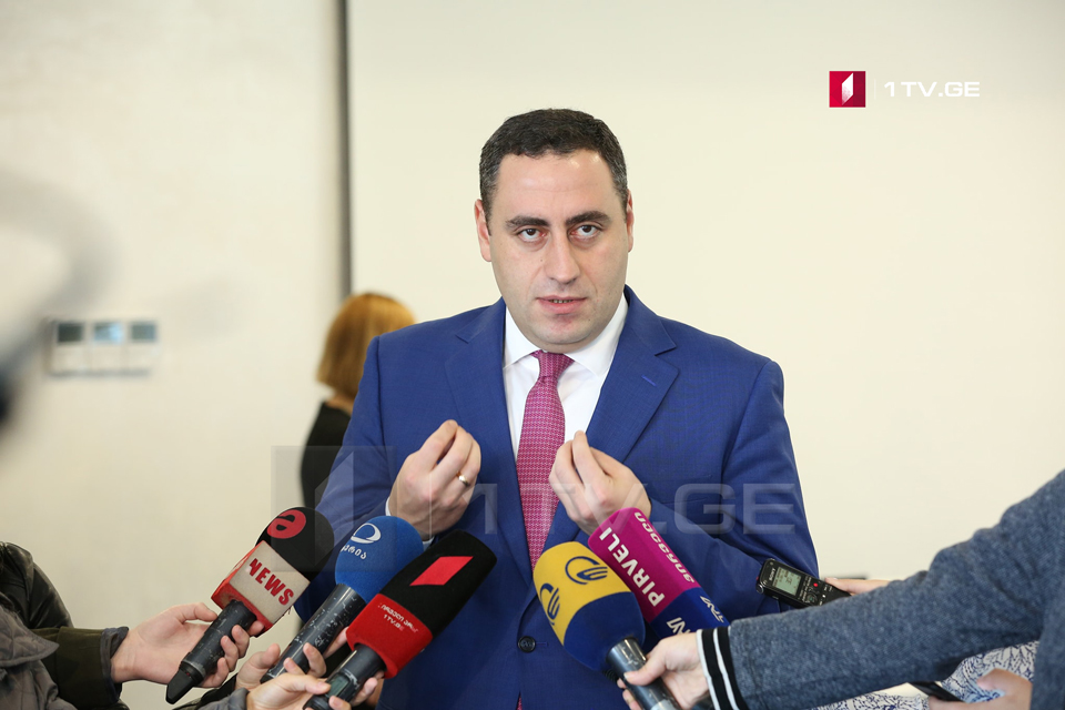 Георгий Вашадзе - В связи с нарушениями на выборах поступило около 500 заявлений