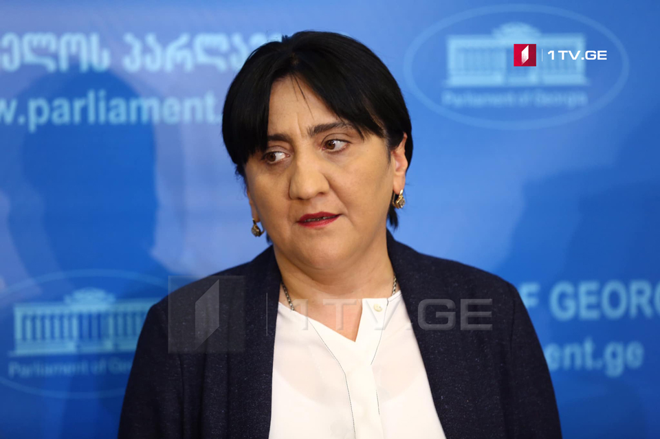 Ирма Инашвили обращается к МВД и прокуратуре установить подлинность 780 тысяч голосов, полученных «Национальным движением» на выборах