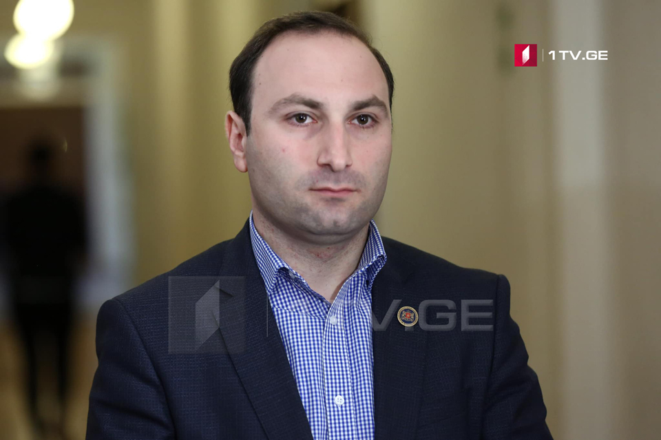 Anri Okhanashvili's candidacy is also considered to the post of the chair of the Legal Issues Committee