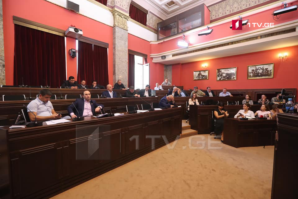 Комитет по юридическим вопросам отложил голосование по проекту резолюции «Об объявлении преступным режима Саакашвили-Бокерия»