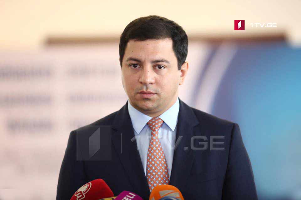 Archil Talakvadze calls on international observer mission to verify information about presumable physical assault of Maia Otinashvili