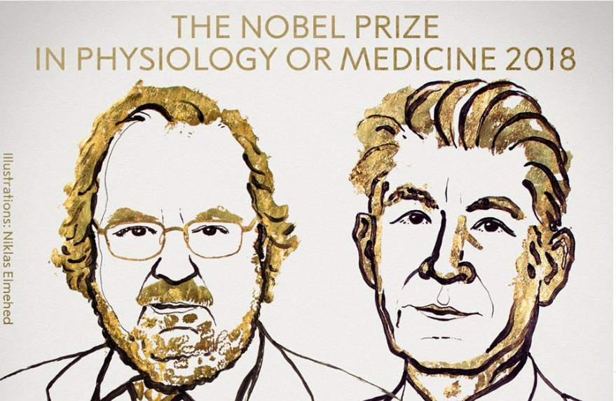 Авторам нового метода по иммунотерапии рака присуждена Нобелевская премия