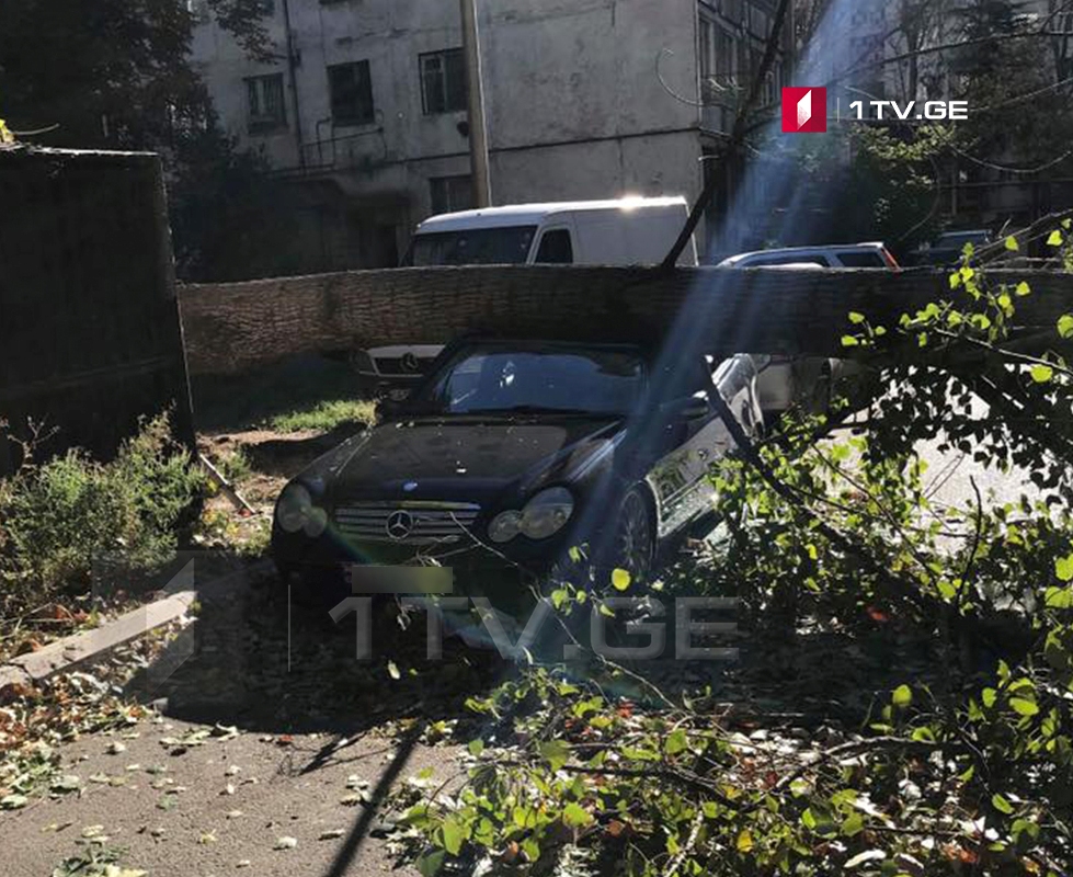 В Тбилиси ветер повалил несколько деревьев, пострадал один человек (фото)