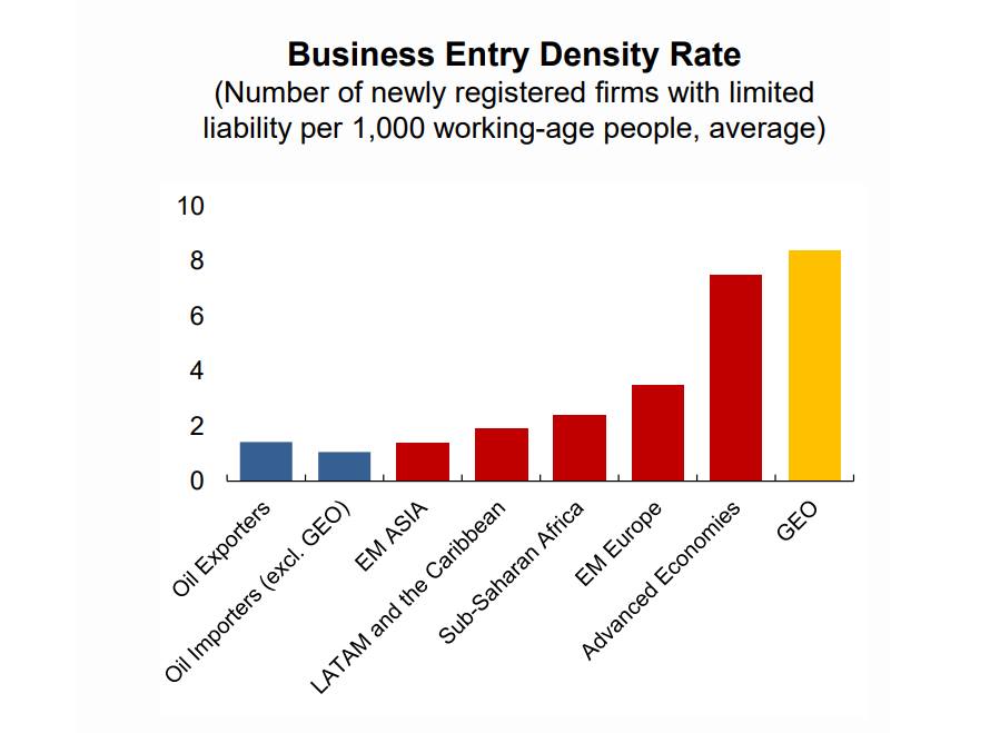 IMF – Business Entry Density Rate high in Georgia