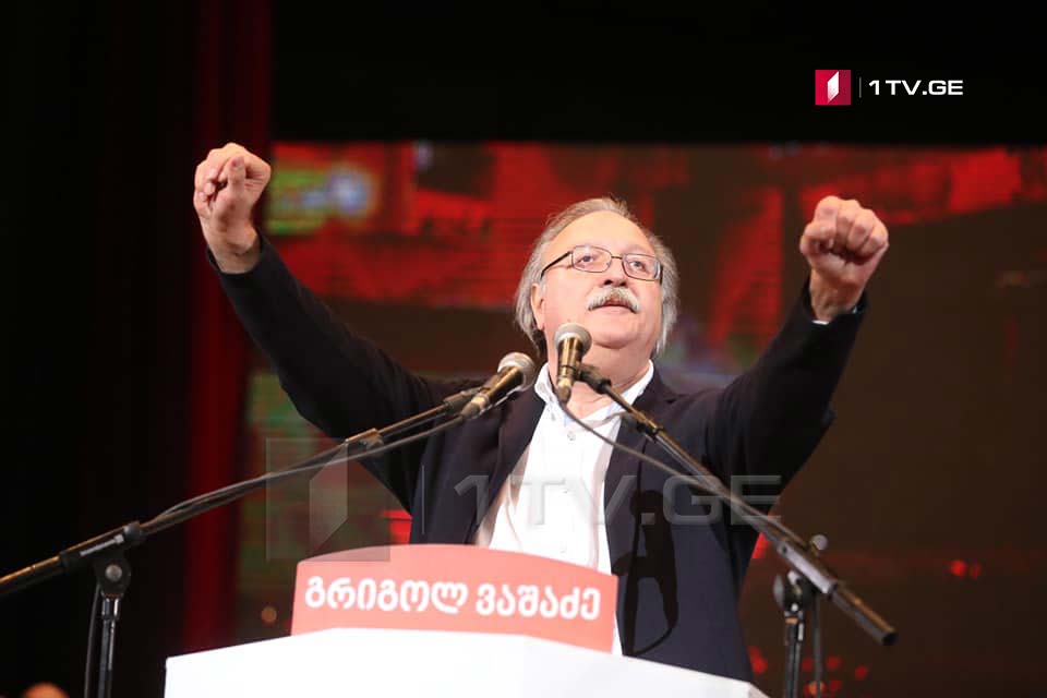 Григол Вашадзе - Объединенная оппозиция требует досрочных парламентских выборов